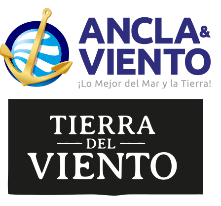 Logo de ancla y viento y tierra del viento